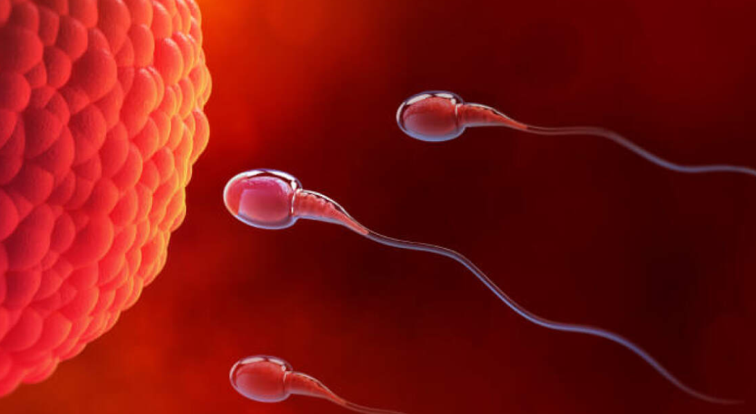infertility treatment south africa