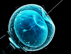 ivf cost in south africa