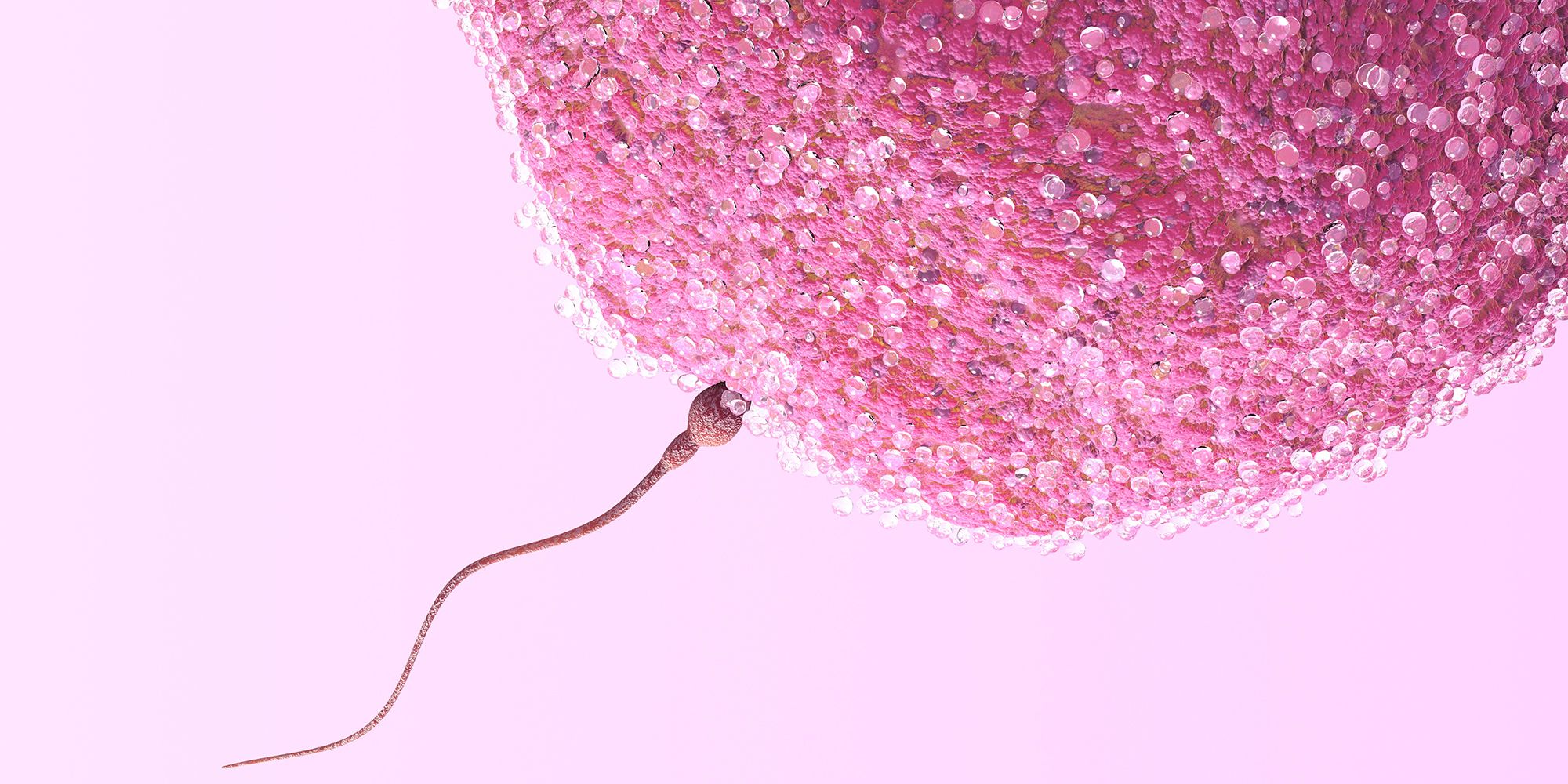 Fertility Specialist In South Afric