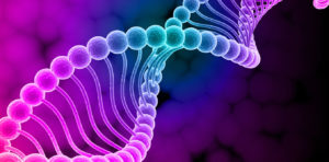 Fertility Specialist In South Afric