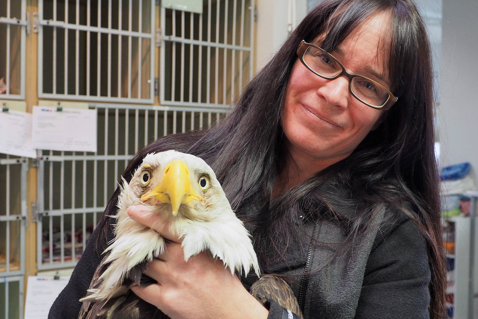 veterinary clinic Abbotsford