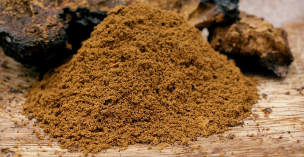 3 Health Benefits Of Mushroom Powder NZ Everyone Must Be Aware Of