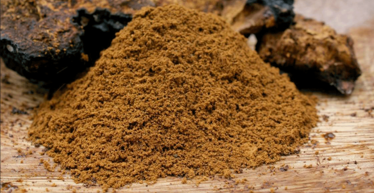 mushroom powder NZ