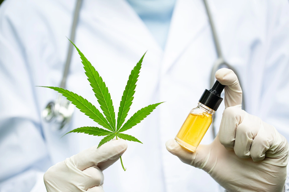 medical marijuana in New Zealand